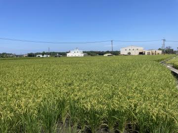 后里中科建案 太白里金鑽田791