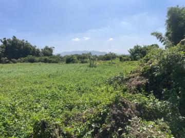 后里中科建案 虎尾寮農保地562