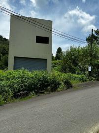 桃米稀有小農舍 埔里房地產