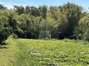 玉井378農保地 新化房屋土地 