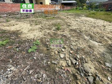 左鎮近台20大坪數丙建 新化房屋土地 