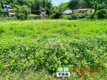 六龜美濃旗六公路百米寬美農地 新化房屋土地