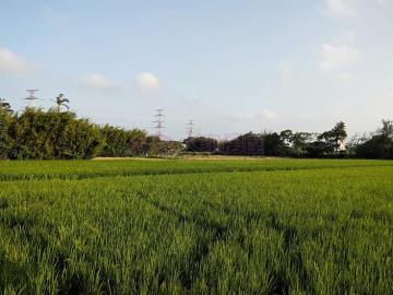 新屋下田心子段農地 桃園土地建地