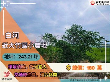 白河近大竹國小農地｜台南佳里農地