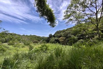南寮透天大樓 新竹香山區大湖國小附近の千坪休閒農地_延壽段