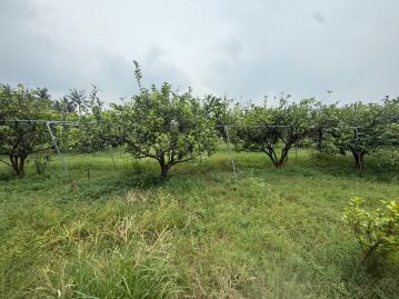 竹田鄉村乙種建地 屏東不動產