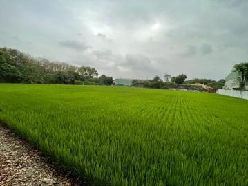 南投草屯土地 台中霧峰區中投公路旁節稅農田