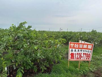 嘉義買房一路通 民雄大面寬近交流道建地