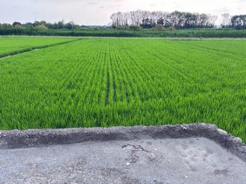 田中興酪路旁田地 田中房地買賣