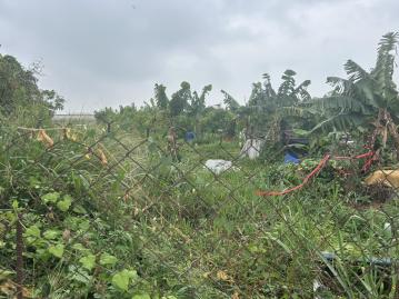 萬丹15米大路旁▲優質大面寬農地 左營鼓山好房