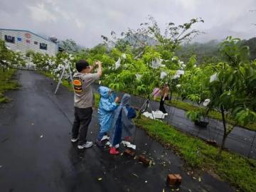 中彰投工業廠房 國姓鄉中潭公路旁咖啡農場