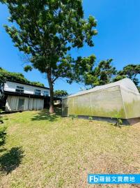 苗栗市 3房1廳 休閒莊園 大樹小庭院 苗栗農舍農地