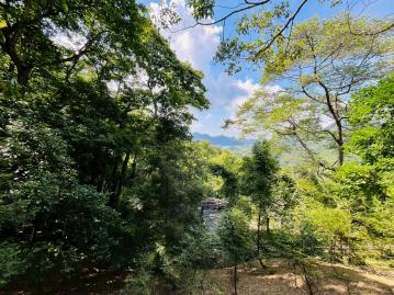 苗栗農舍農地 螢火蟲 小山房 私人森林 近台三線 有水電