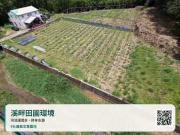 臺三線旁 千坪水畔農場 清澈溪流 有水有電有屋 苗栗農舍農地