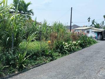 屏東 內埔東寧嘟嘟好建地 南部房屋土地