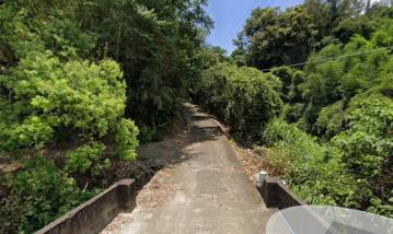 苗栗大湖草莓之鄉大面積夢想林地