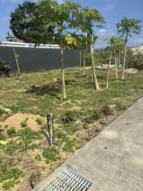 龍潭小坪數雙面臨路農地 中壢農地建地