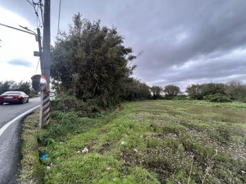 專-近龍岡圓環、營德路五米面寬特農 中壢農地建地