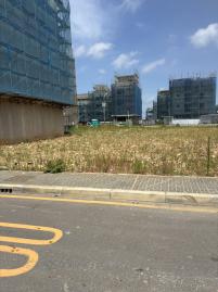 福海段近學校預定地安置建地 中壢農地建地