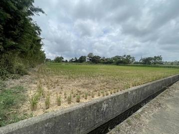 楊梅富岡便宜農地 中壢農地建地