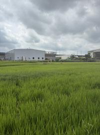 機場旁一般農(近青埔交流道) 中壢農地建地