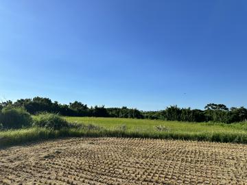 新竹新豐｜農＋建｜退休置產首選 中壢農地建地