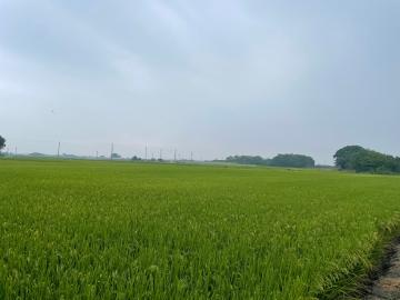 大心精選-莿桐五華農地-一般農業區 雲林好房推薦