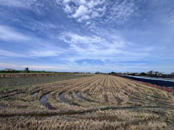 布袋近朴子2.9分農地 /專約