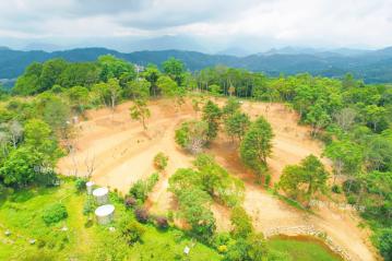 <專>星扇山居.營光秘域.森境營地
