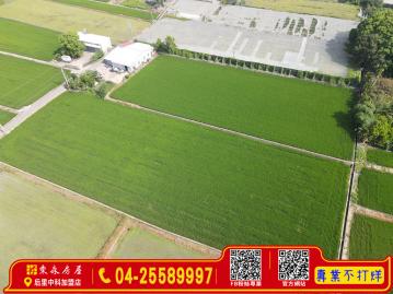 后里太平方正農地 后里大甲買屋