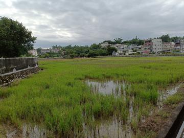 南漂房仲歐爸 仁武近交流道2.8甲完整農地