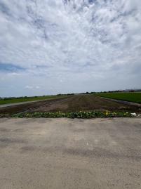 鹿草頂潭方正農地 太保市地重劃