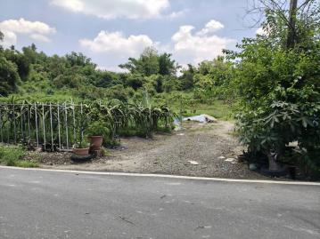 台南關廟農地1 高雄地產王 輝雄厲害