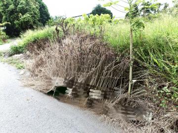 彰化不動產買賣 和美鎮東坡路丁種建地