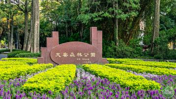 買公設？不如買實坪！金華學區美寓 台北房屋專家