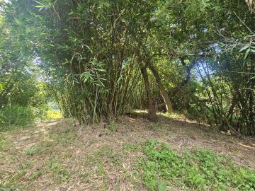 苗栗房地專家 苗縣西湖鄉8米路旁水源充足休閒農地