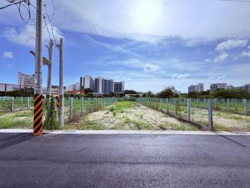 台南農地專家 仁德嘉藥百坪有水電6米路開心農地