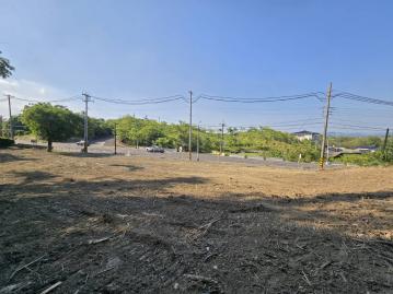 玉井20米路旁7分大面寬漂亮農