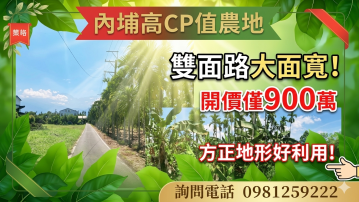 內埔超高 CP 值方正黃金農地 屏東土地二姊
