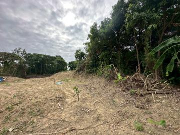 山上水道靜耕地#南科土地達人