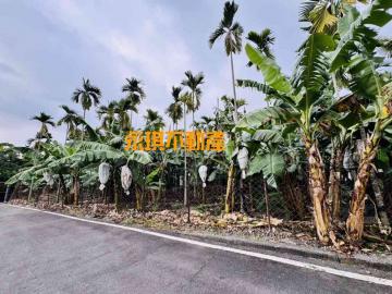 高雄屏東房屋土地 潮州農保地 高屏成家找展哥