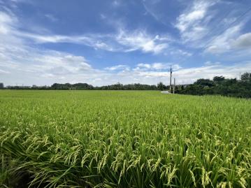 溪洲公園旁漂亮農地 彰化房地顧問