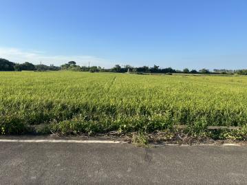 竹苗土地房屋  湖口和興段-近市區低總價方正美田