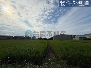 竹苗土地房屋 楊梅四湖大面寬平坦美農地 投資自用好規劃