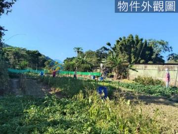 竹苗土地房屋 關西黃金地段農地 近市區 潛力無限