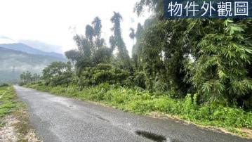 花蓮買房達人 《專售》鳳林南平小小農地