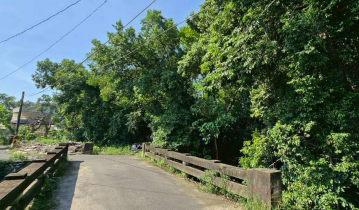 高雄土地大施 白河虎山面路大農地