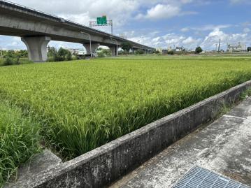 房地賞金獵人 朴子大鄉國小建地(專約)D028
