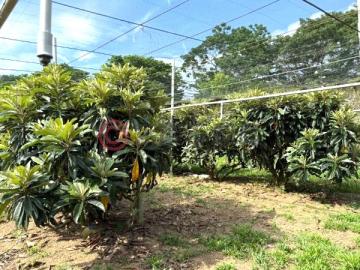 台中土地店面新社區公所櫻木花道10米路美農地