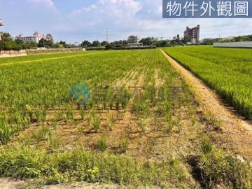 台南土地農地-柳營省道台一線旁奇美太康社區旁農地